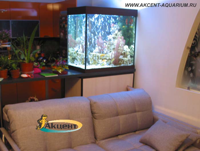 Акцент-аквариум,аквариум 300 литров просмотровый